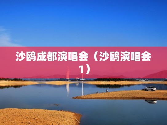 沙鸥成都演唱会（沙鸥演唱会1）