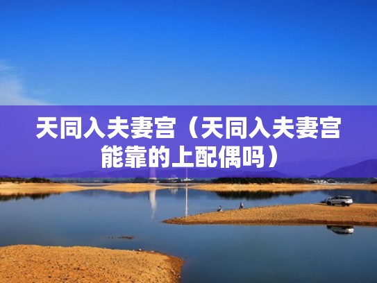 天同入夫妻宫（天同入夫妻宫能靠的上配偶吗）