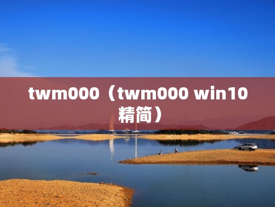 twm000（twm000 win10 精简）