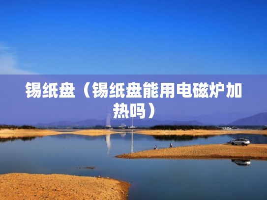 锡纸盘（锡纸盘能用电磁炉加热吗）