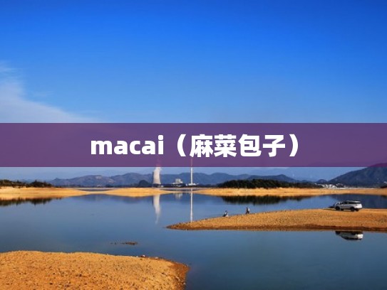macai（麻菜包子）