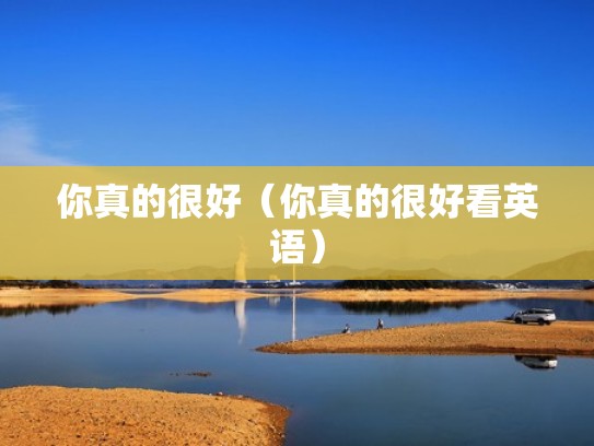 你真的很好（你真的很好看英语）