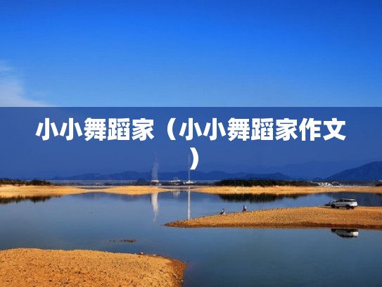 小小舞蹈家（小小舞蹈家作文）