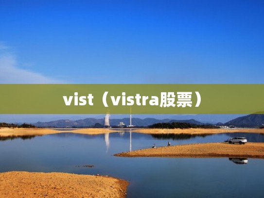 vist（vistra股票）
