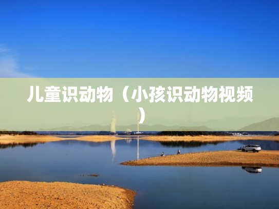 儿童识动物（小孩识动物视频）