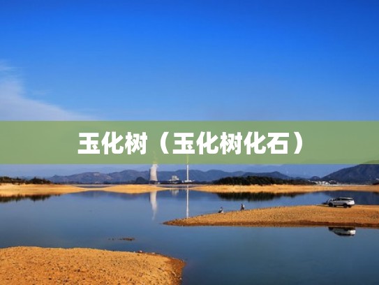 玉化树（玉化树化石）
