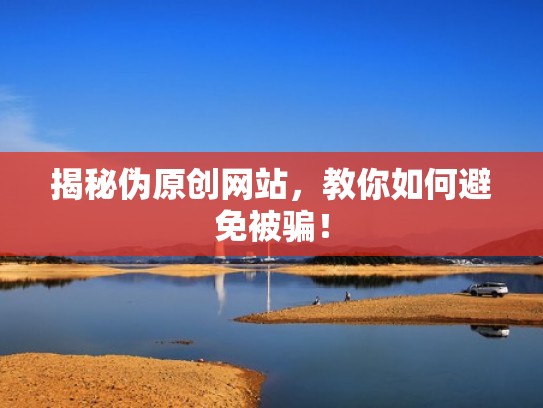 揭秘伪原创网站，教你如何避免被骗！