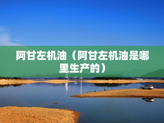 阿甘左机油（阿甘左机油是哪里生产的）