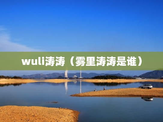 wuli涛涛（雾里涛涛是谁）