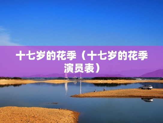 十七岁的花季（十七岁的花季演员表）