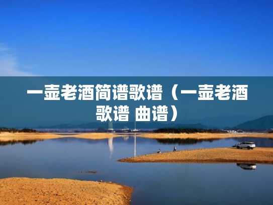 一壶老酒简谱歌谱（一壶老酒歌谱 曲谱）