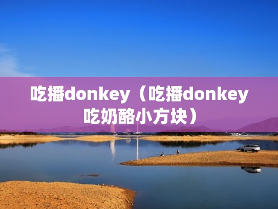 吃播donkey（吃播donkey吃奶酪小方块）