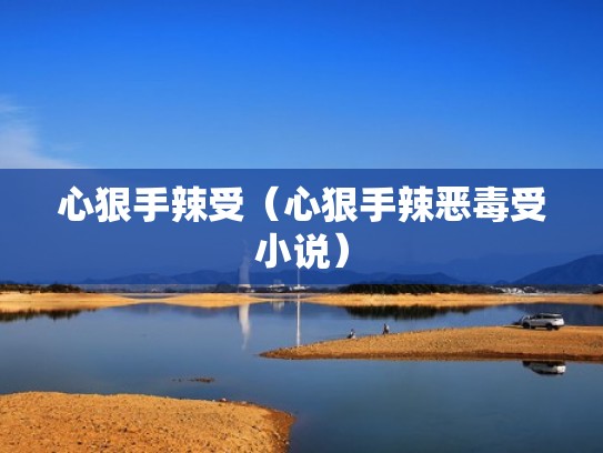 心狠手辣受（心狠手辣恶毒受小说）