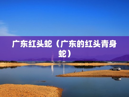 广东红头蛇（广东的红头青身蛇）