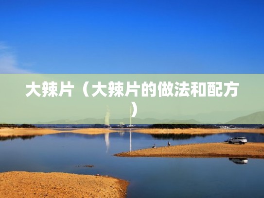 大辣片（大辣片的做法和配方）