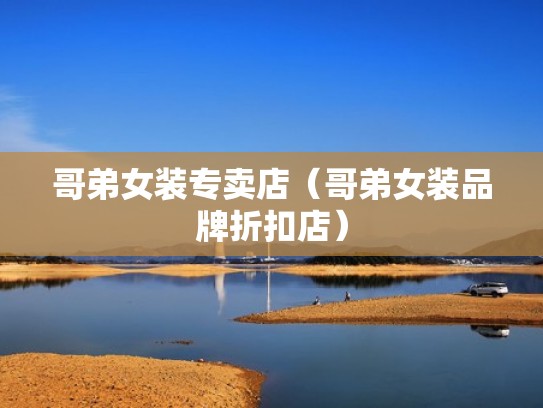 哥弟女装专卖店（哥弟女装品牌折扣店）
