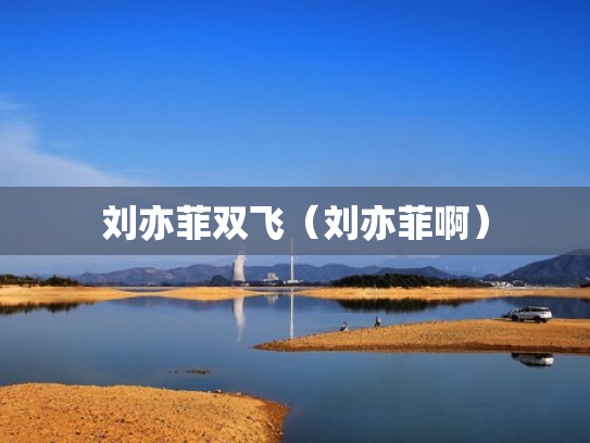 刘亦菲双飞（刘亦菲啊）