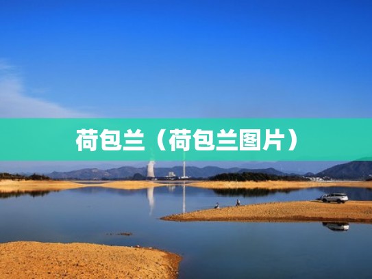 荷包兰（荷包兰图片）