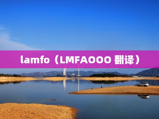 lamfo（LMFAOOO 翻译）