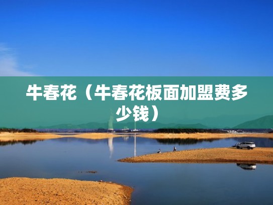 牛春花（牛春花板面加盟费多少钱）