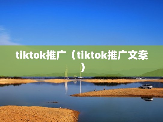 tiktok推广（tiktok推广文案）