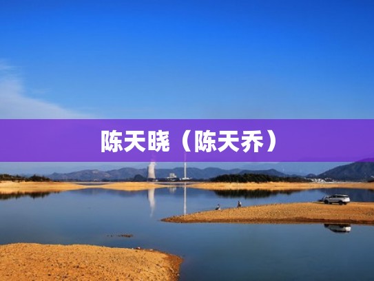 陈天晓（陈天乔）