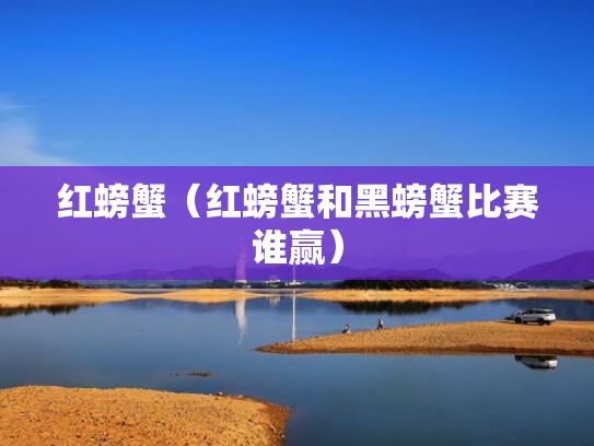 红螃蟹（红螃蟹和黑螃蟹比赛谁赢）