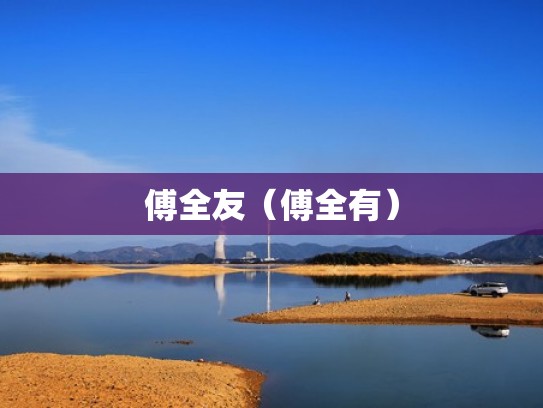 傅全友（傅全有）