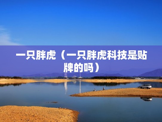 一只胖虎（一只胖虎科技是贴牌的吗）