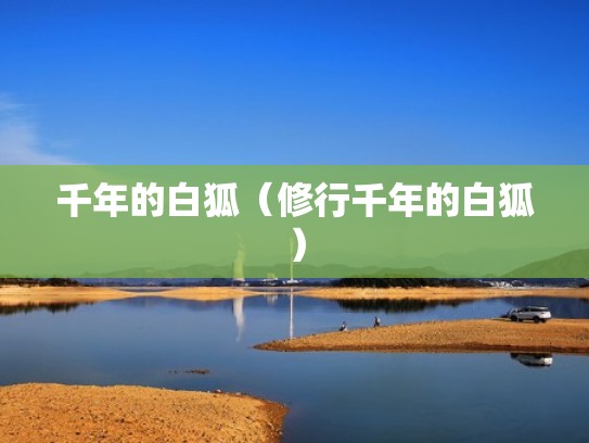 千年的白狐（修行千年的白狐）