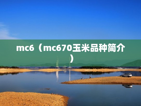 mc6（mc670玉米品种简介）