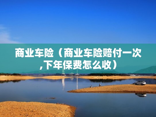 商业车险（商业车险赔付一次,下年保费怎么收）