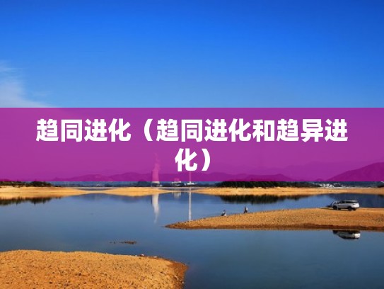 趋同进化（趋同进化和趋异进化）