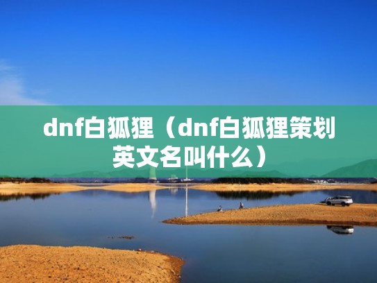 dnf白狐狸（dnf白狐狸策划英文名叫什么）