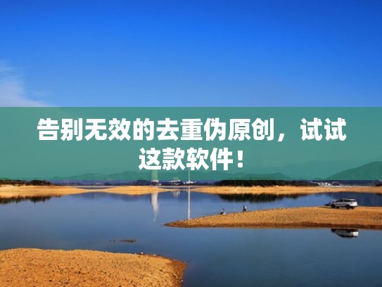 告别无效的去重伪原创，试试这款软件！