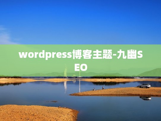 wordpress博客主题-九幽SEO wordpress博客主题-九幽SEO