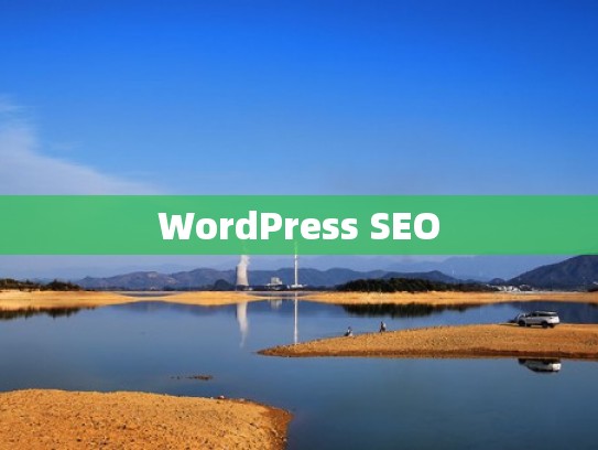 WordPress SEO