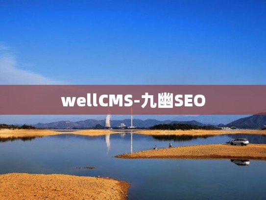 wellCMS-九幽SEO