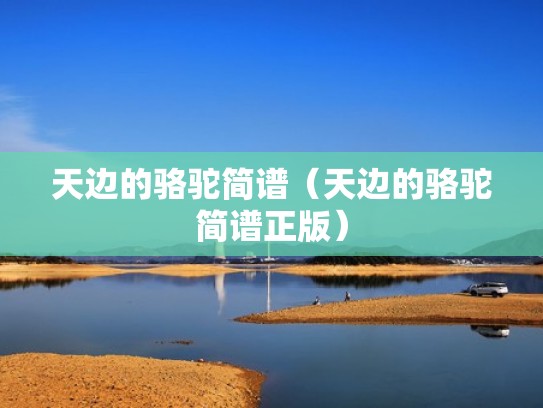 天边的骆驼简谱（天边的骆驼简谱正版）