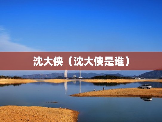 沈大侠（沈大侠是谁）