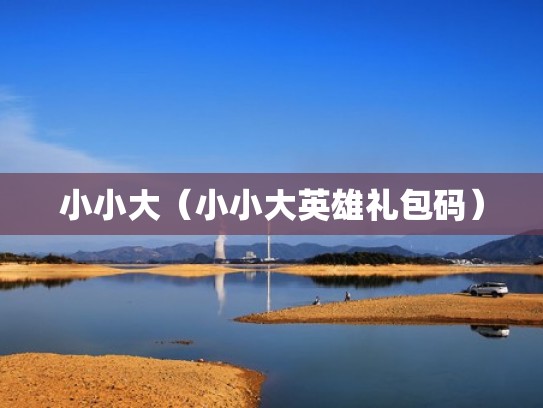 小小大（小小大英雄礼包码）
