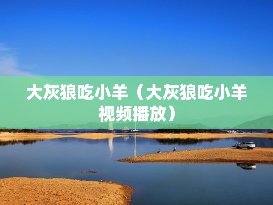 大灰狼吃小羊（大灰狼吃小羊视频播放）