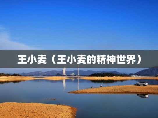 王小麦(王小麦的精神世界) 王小麦(王小麦的精神世界)