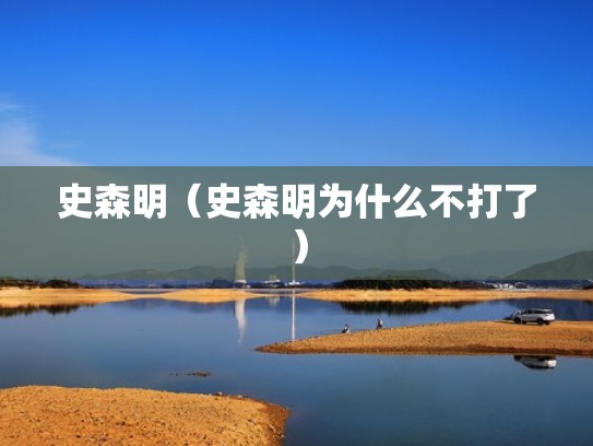 史森明(史森明为什么不打了) 史森明(史森明为什么不打了)