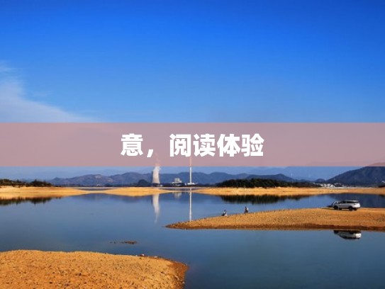 意，阅读体验