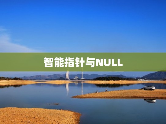 智能指针与NULL