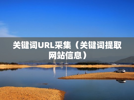 关键词URL采集（关键词提取网站信息）