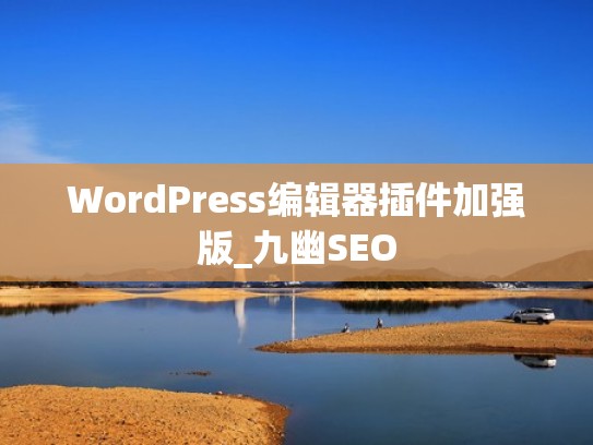 WordPress编辑器插件加强版_九幽SEO