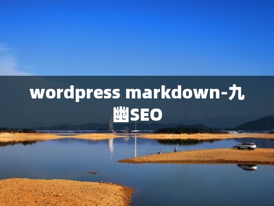 wordpress markdown-九幽SEO