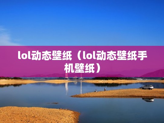 lol动态壁纸（lol动态壁纸手机壁纸）